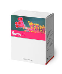 FLAVOCEL - Kliknutím na obrázek zavřete